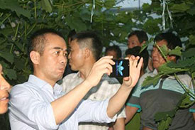 午夜激情影院镇党建联盟葡萄网格化管理在巡查中发现葡萄大量落果