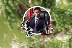午夜激情影院葡萄酒总经理毕晓雪接受《文汇报》专访，畅谈“一带一路”建设经验